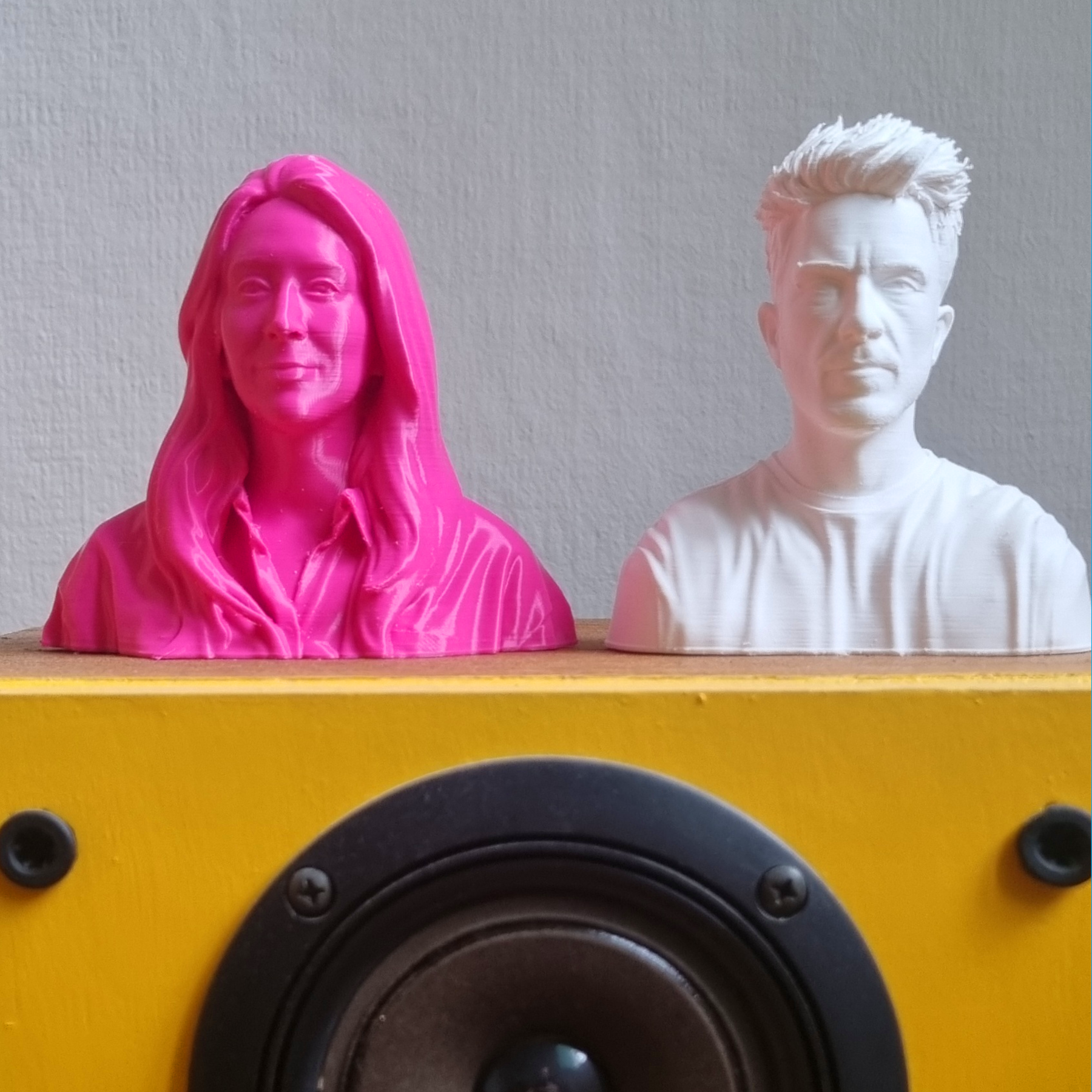 Busto Personalizzato 3D da Foto - Ritratto Scultoreo Moderno