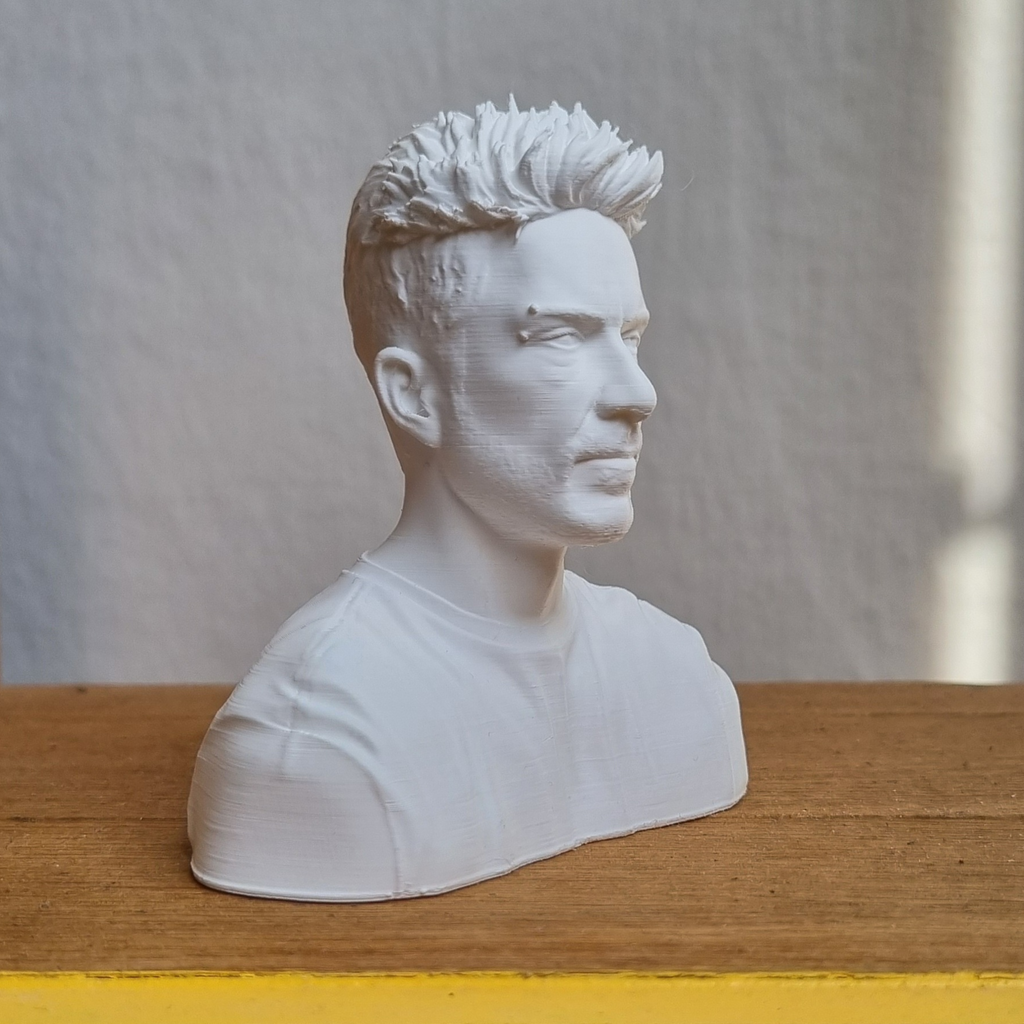 Busto Personalizzato 3D da Foto - Ritratto Scultoreo Moderno